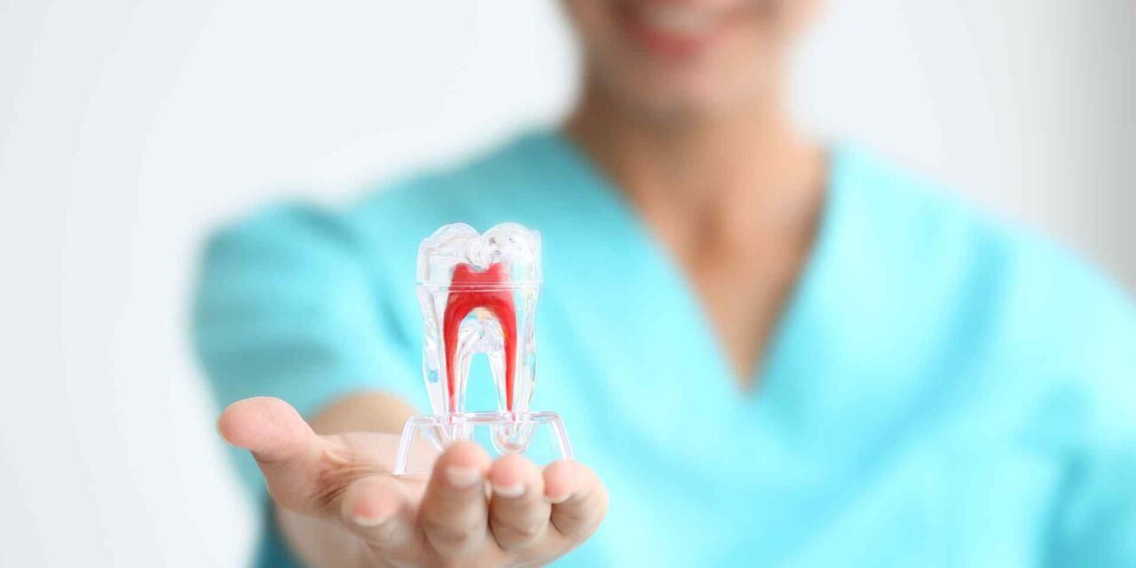 Dents de sagesse : l’essentiel avant / après
